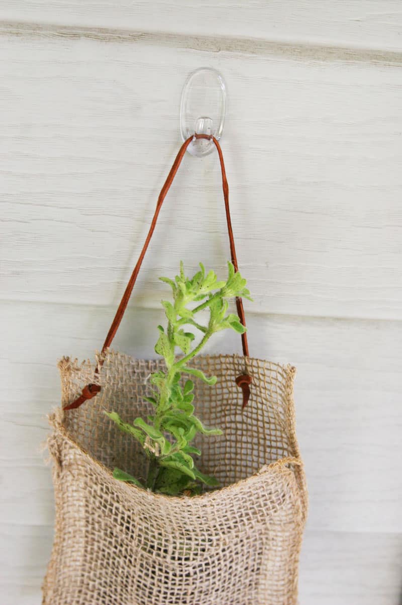 No sew hanging planters. Such a quick and easy way to spruce up an outdoor space!