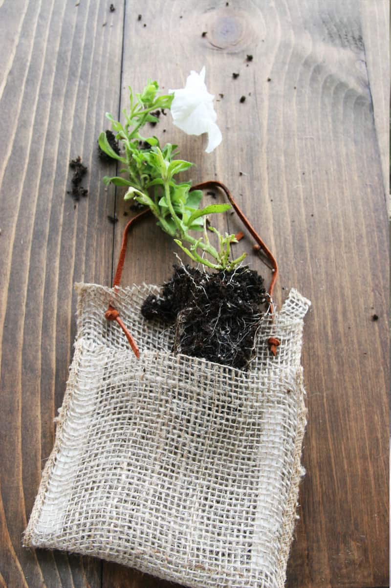 No sew burlap hanging planters. Such a quick and easy way to spruce up an outdoor space!